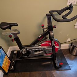 Sunny Exercise Spin Bike 