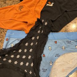  Women’s Holiday Panties/underwear 