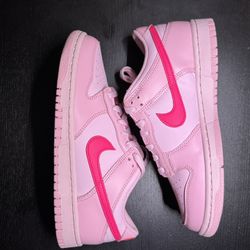 Brand New Nike Dunk - Kid