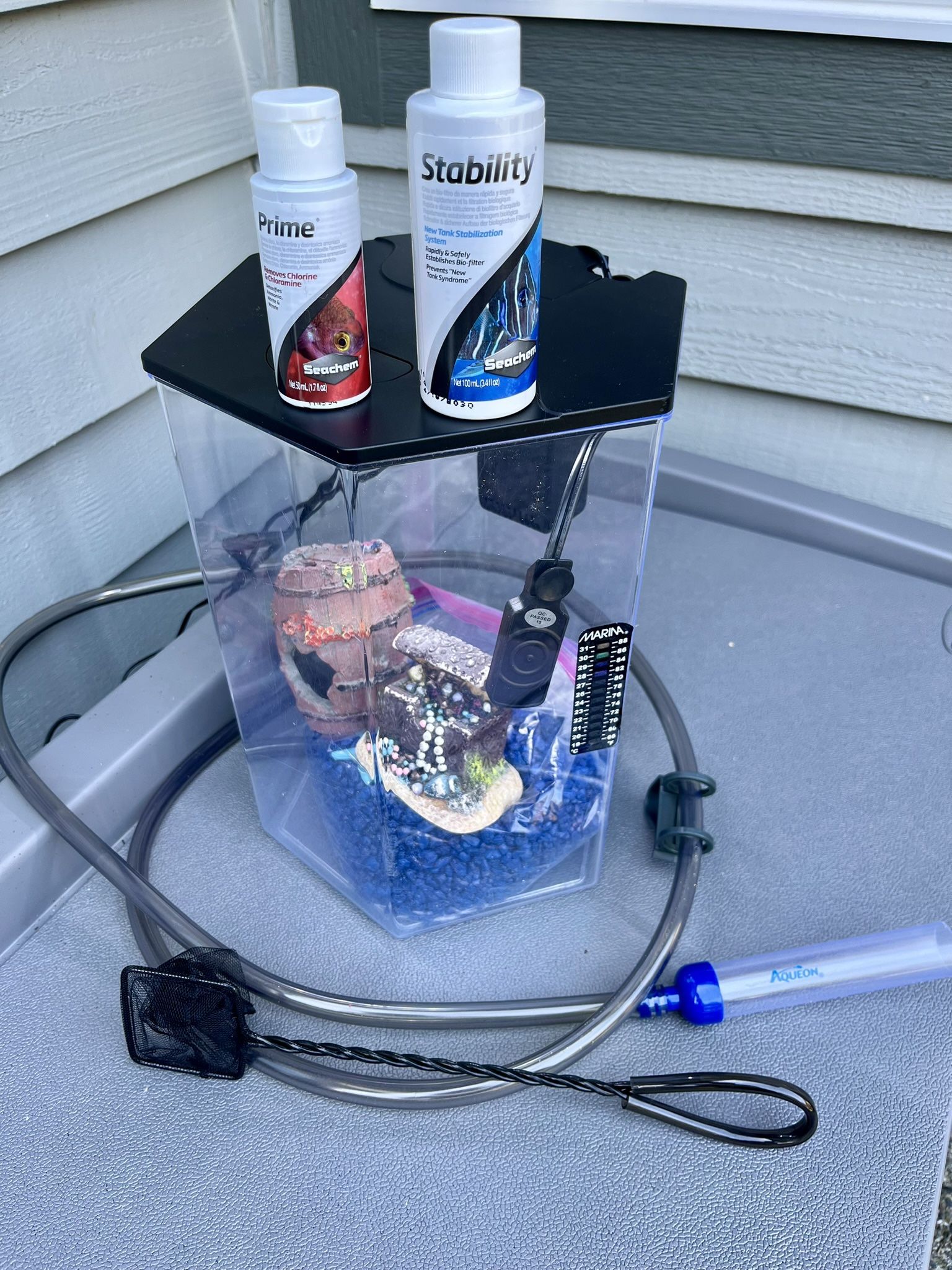 Betta fish Tank And More