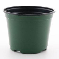 40, 6 inch co-extruded Round Green Nursery Shuttle Pots, planters, containers