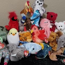 Beanie Baby Bundle