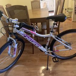 Brand New Bike 