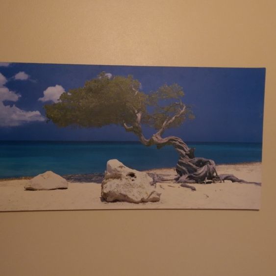 Beach Picture