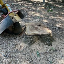 Stump Grinding 