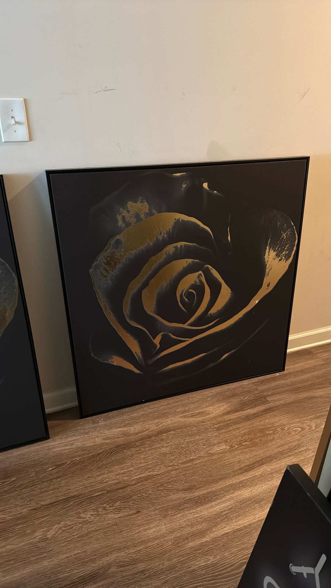 Double paintings