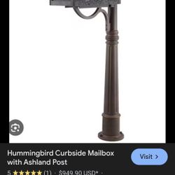 Beautiful Hummingbird, mailbox.