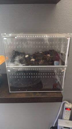 Small magnetic top terrariums