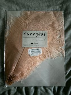 Larryhot 10pcs 16-18 Inch Champagne Ostrich Feathers for Art/Decoration