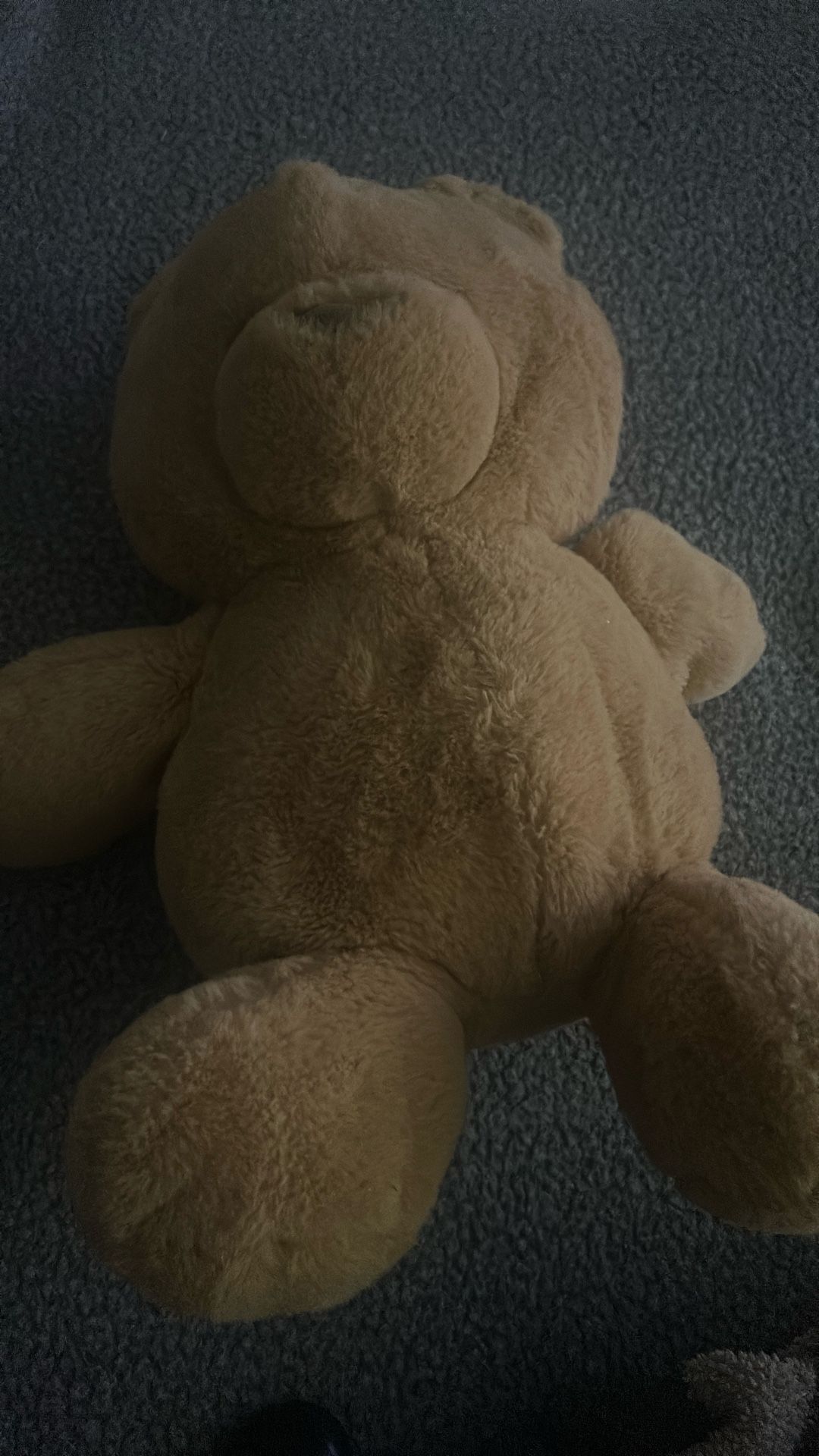 Medium Size Brown Stuffed Bear