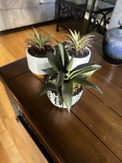 fake plants