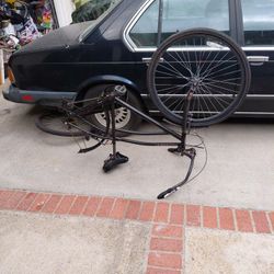 Schwinn Cruiser