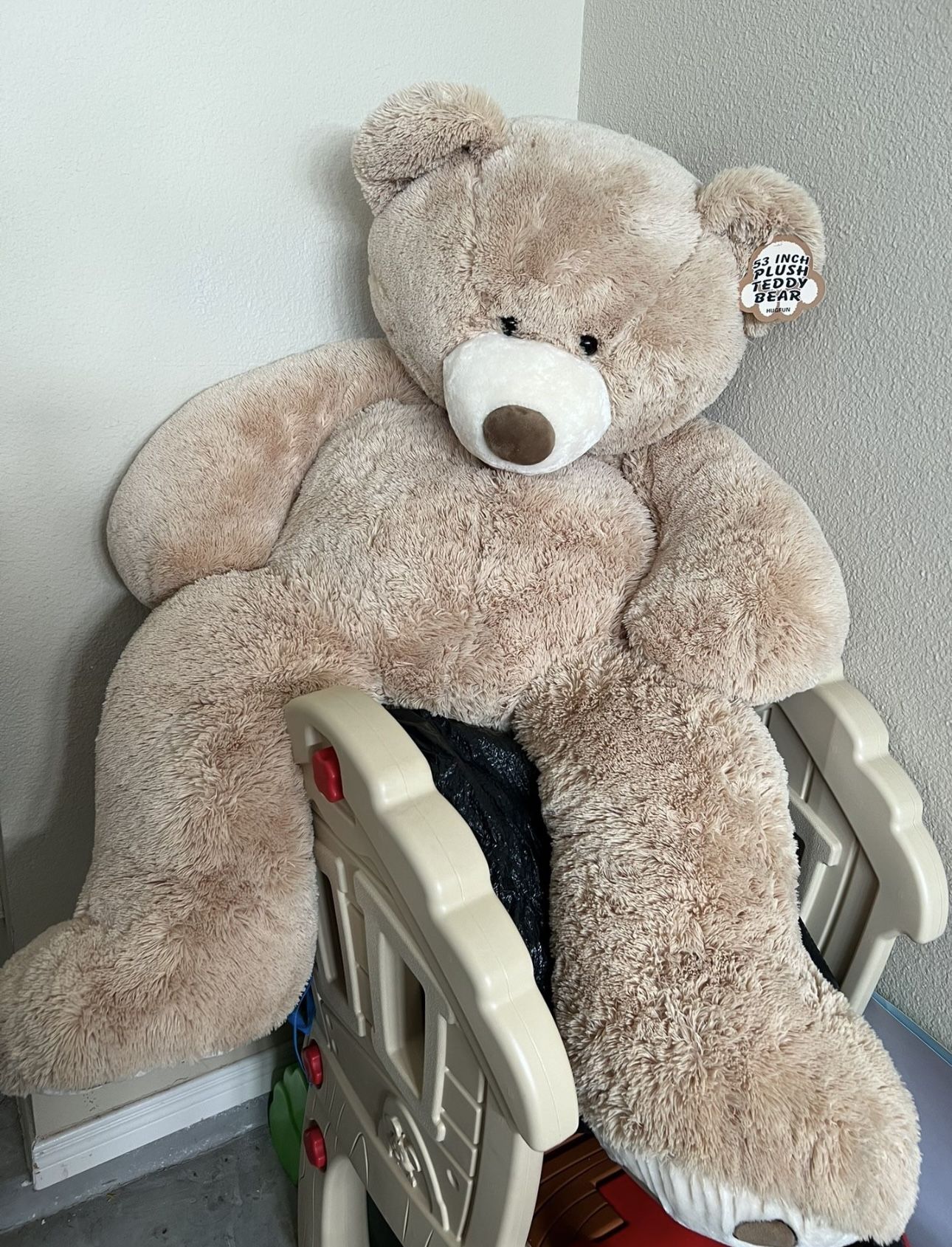 Teddy Bear