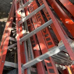 Escaleras de 16 pies 350 cada una