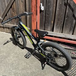Specialized Riprock 20”