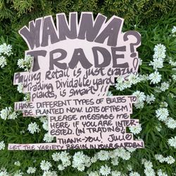 TRADING YARD PLANTS!  See Description