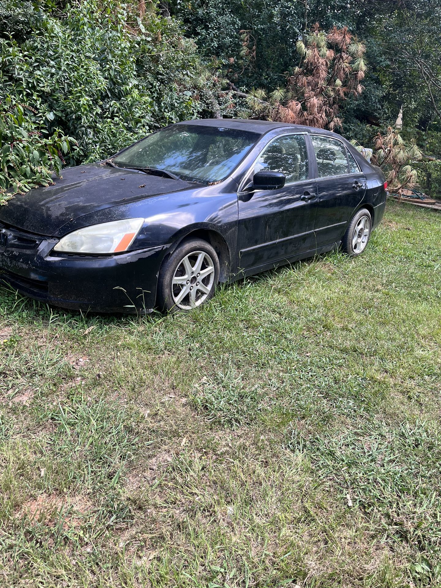 2003 Honda Accord