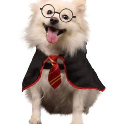 Harry Potter Pet Costume 