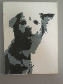 Pet portraits