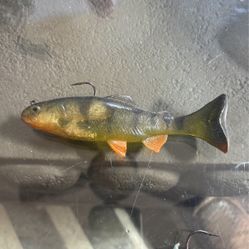 Huddleston 6 Inch With 8 Inch tail