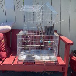  Bird Cage