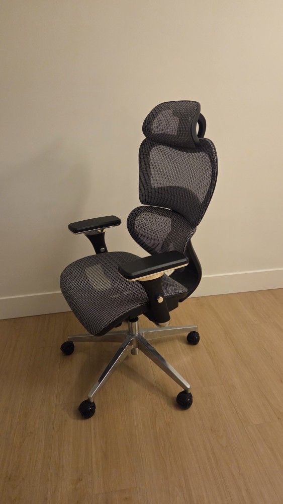 Ergonomic Office Chair