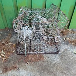 Crab Trap