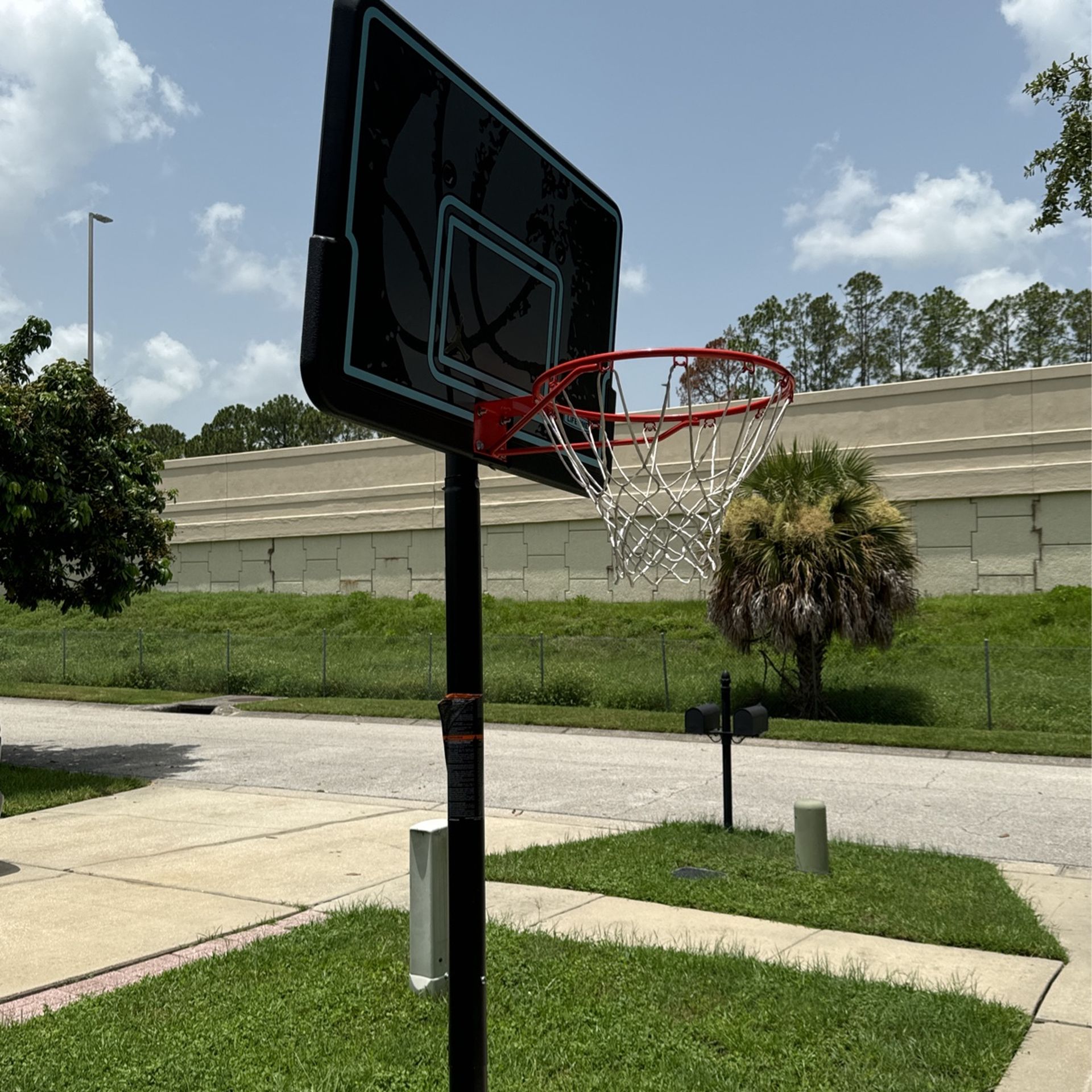 Lifetime Basketball Hoop