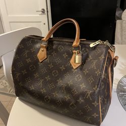 Louis Vuitton Purse 
