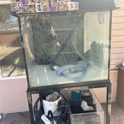 Needed Out Massive Cube Aquarium 132G