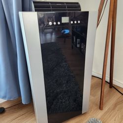 Whynter ARC-14S portable AC
