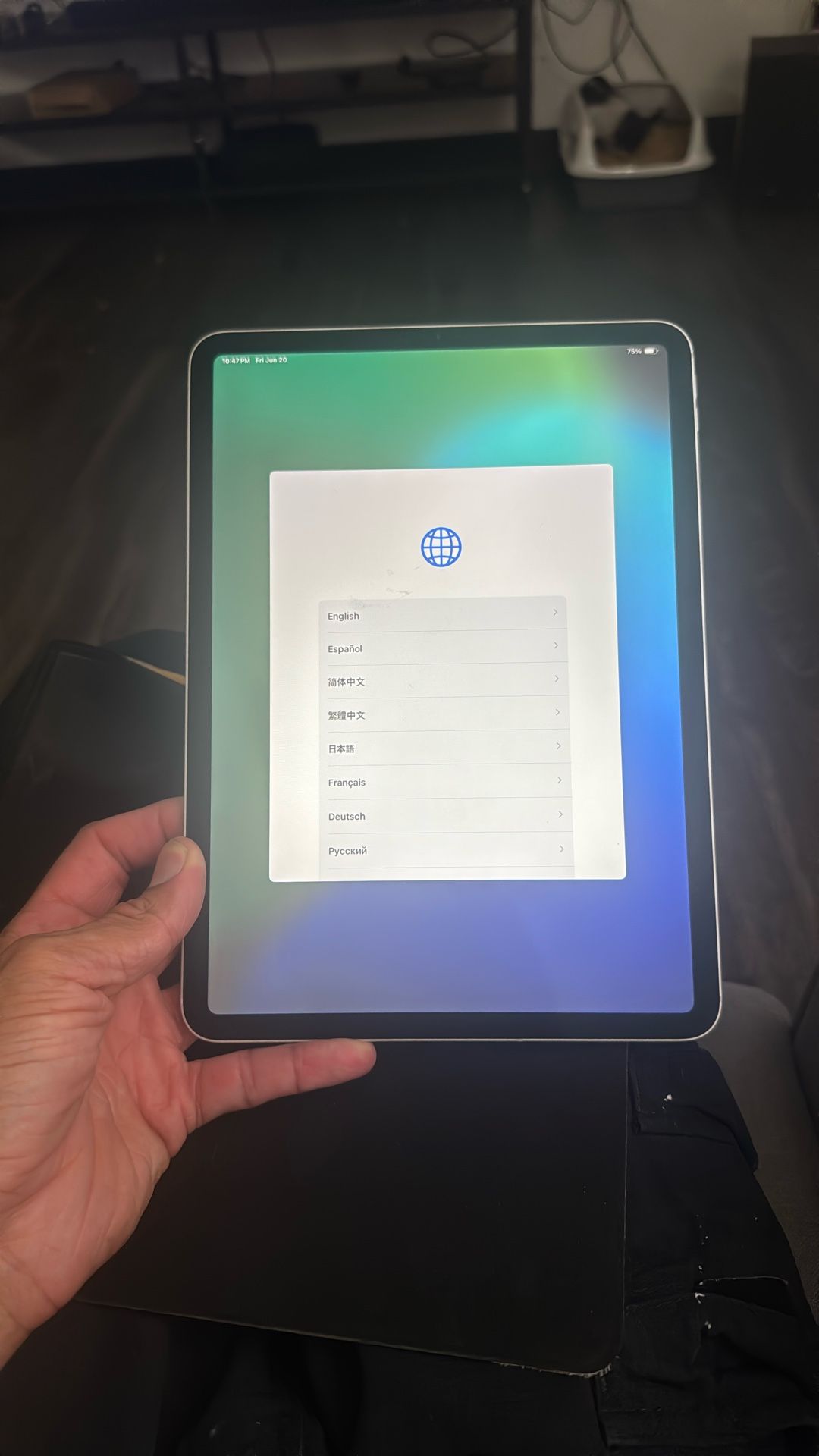 iPad Pro 11” (1st Gen) Wifi + Cellular 256GB