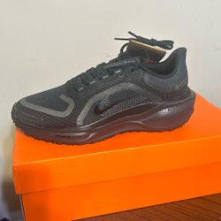 # 1 Running Shoe Nike Pegasus 41 GORE-TEX