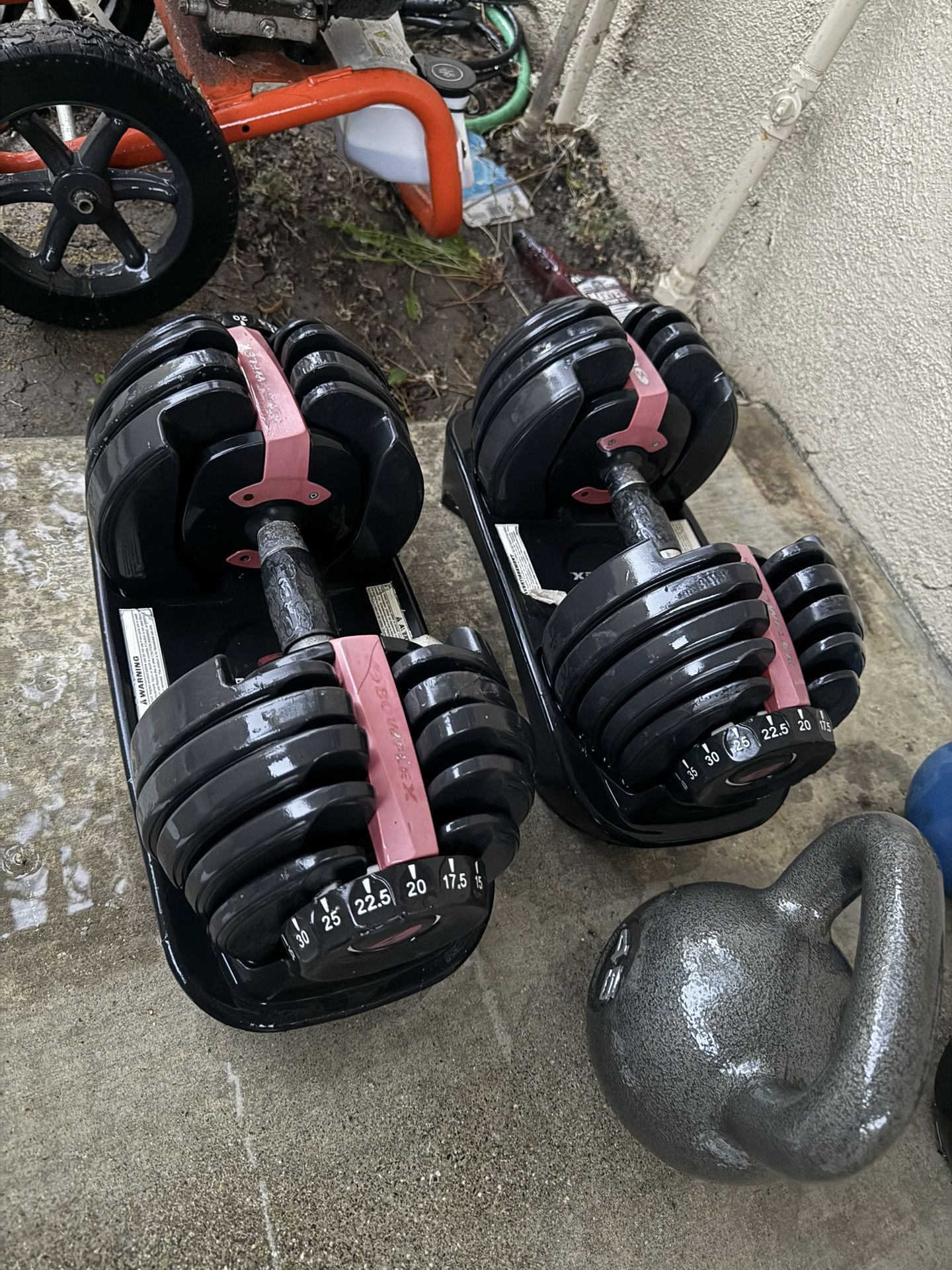 Bowflex Dumbbell Set