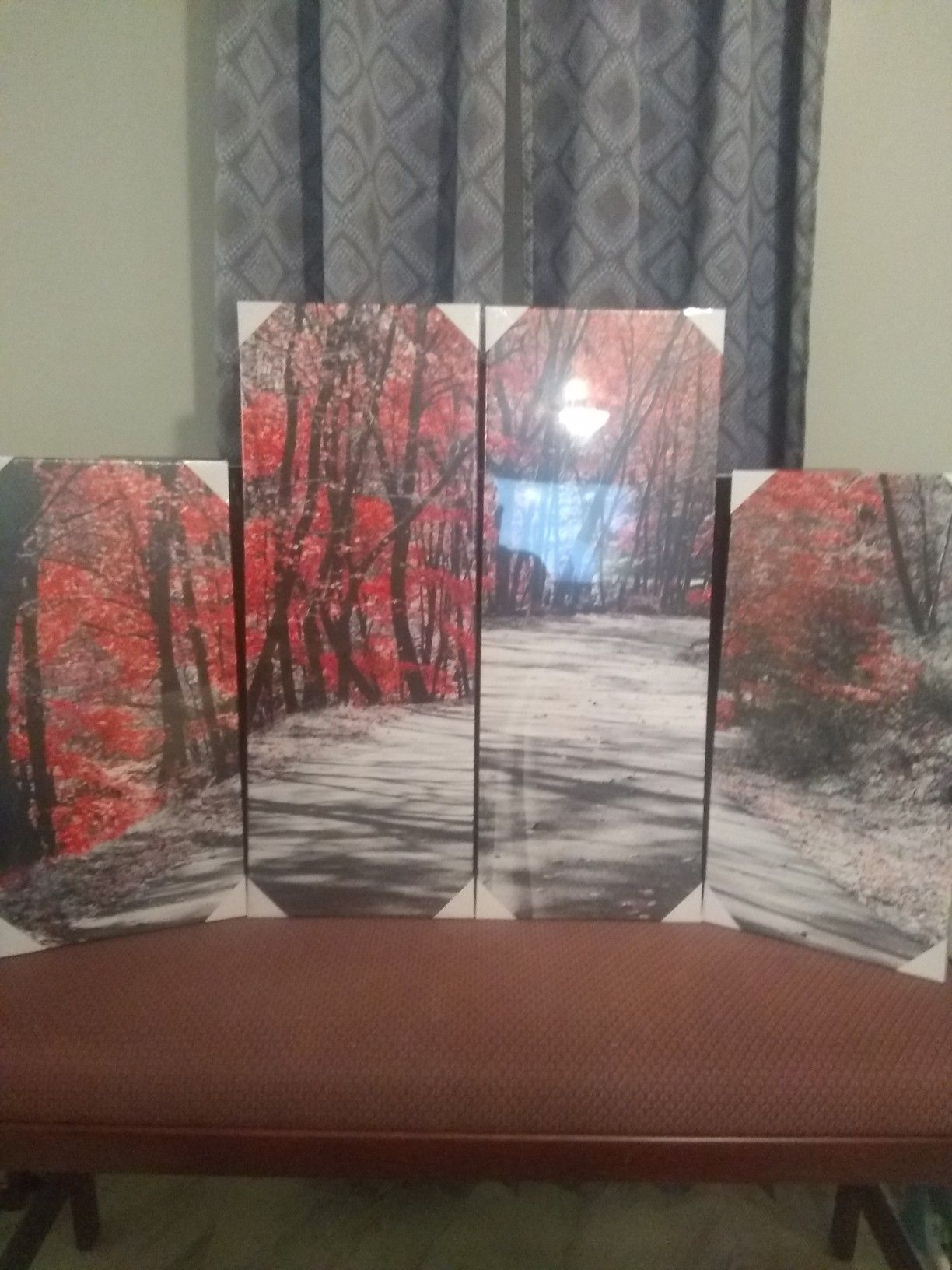 Visual Art Decor on canvas