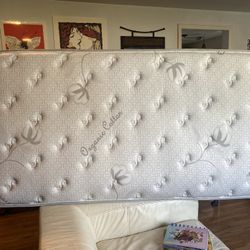 Standard Twin Mattress Free! 