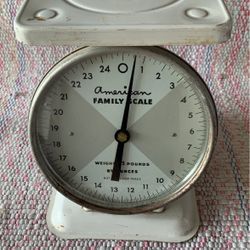 American Family Scale