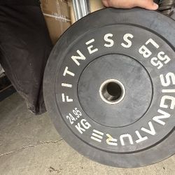 55lb Plate Weight