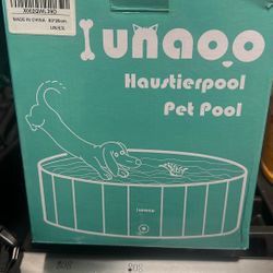 Dog Pool 