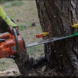 Chain Saw