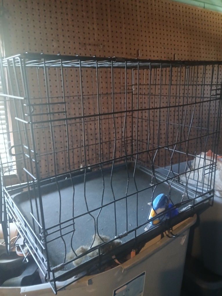 Dog Crate