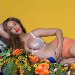 Agent Provocateur Black Sheer Sparkle 34DD 4 Piece Set