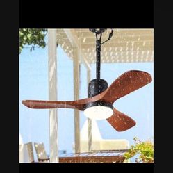 Fan. 