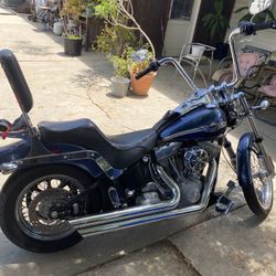 2003 Harley Davidson Anniversary Edition Heritage Softtail