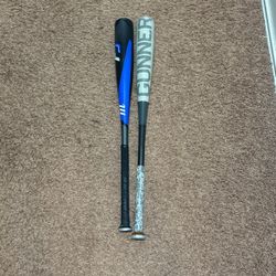 Two Baseball Bats
