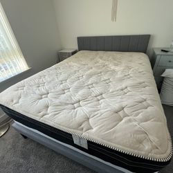 Moving Sale - Queen Size Mattress and Box Spring 