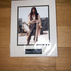 Johnny Depp, Pirates of The Caribbean 