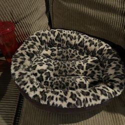 Cutest PET BED!  Animal print 