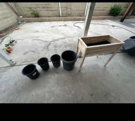 Plants