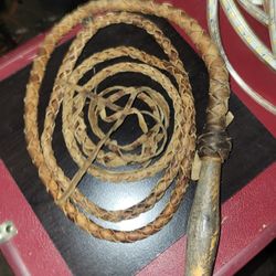 Bull Whip 